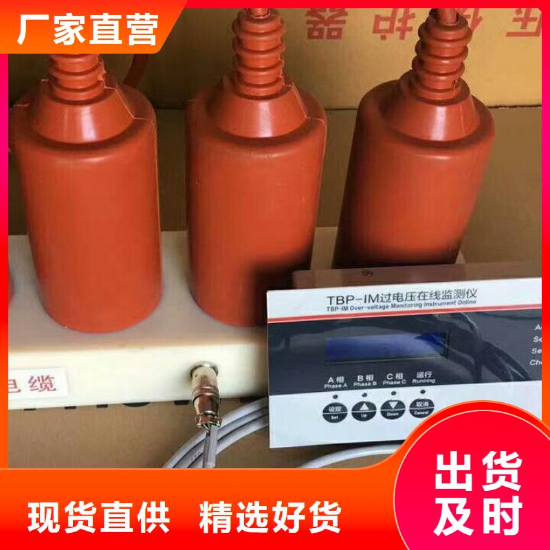 保护器(组合式避雷器)TBP-A-6.3/85