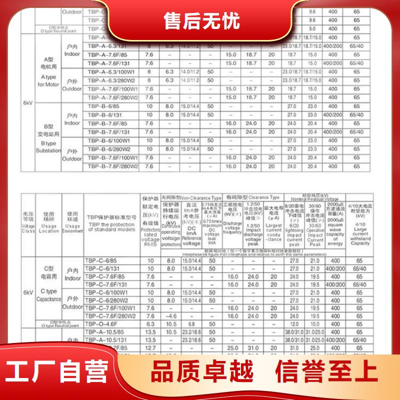 〖过电压保护器〗TBP-A-12.7/85-J规格齐全