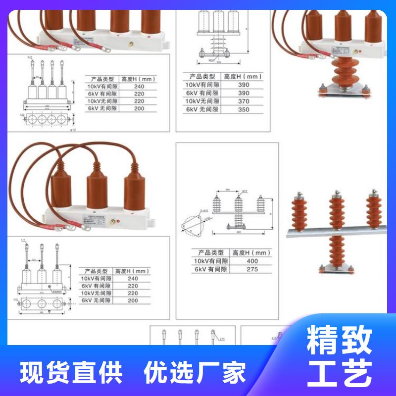 保护器(组合式避雷器)YH5CS-12.7/45*12.7/45