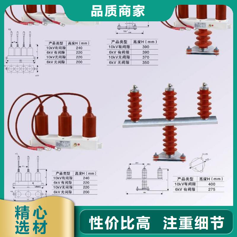 【组合式避雷器】TBP-A-42F/630W2