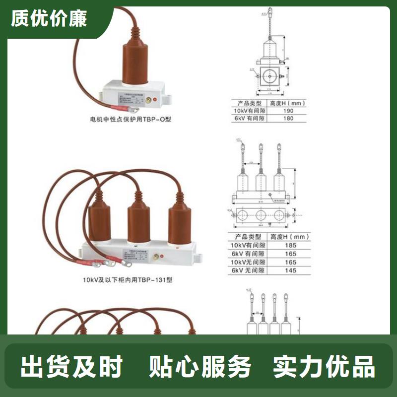 【羿振電力牌】過電壓保護器TBP-C-10.5/85-J