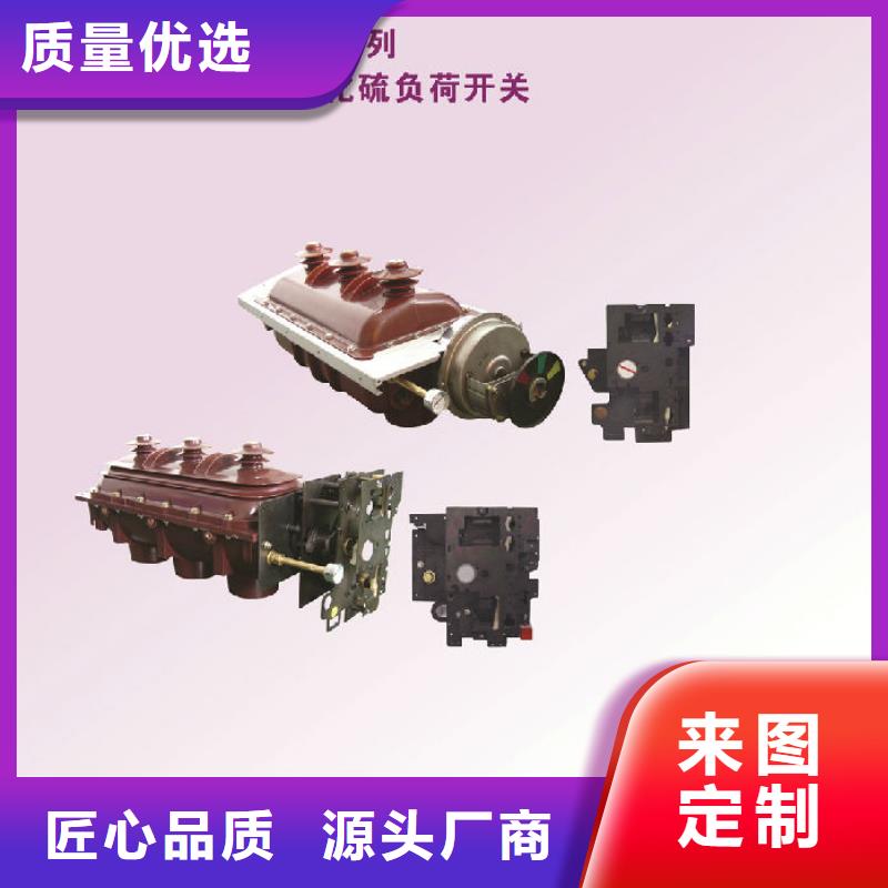 戶內高壓負荷開關FN3-12/630