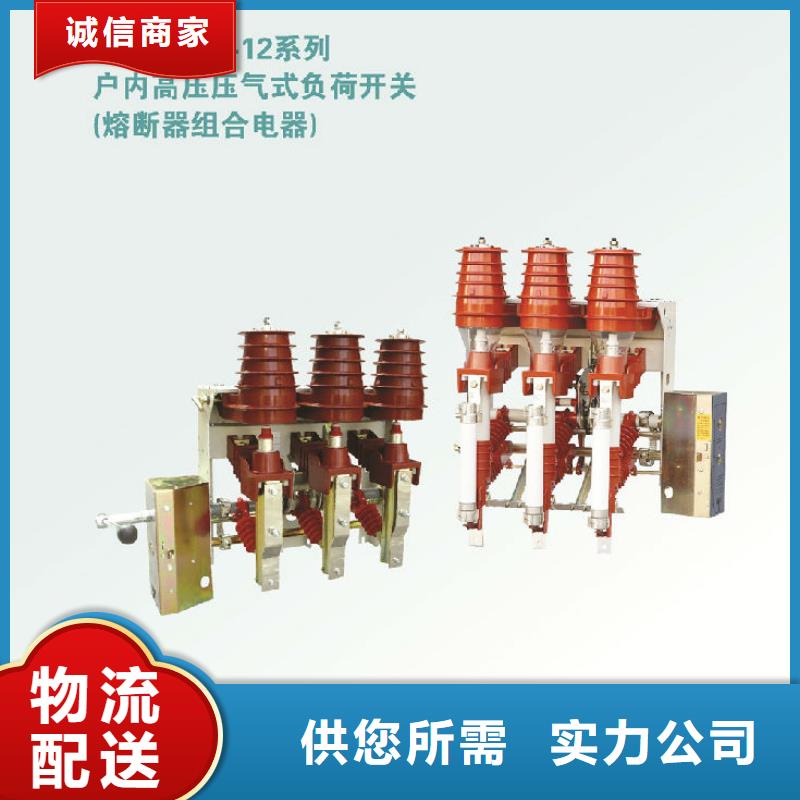 壓氣式負荷開關(熔斷器組合電器)FN12-10/630-20_
