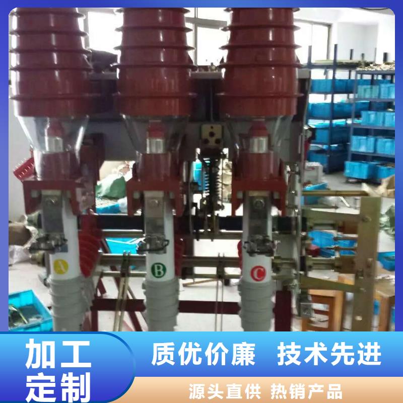 高壓負荷開關ZFN23-12D/630-20_