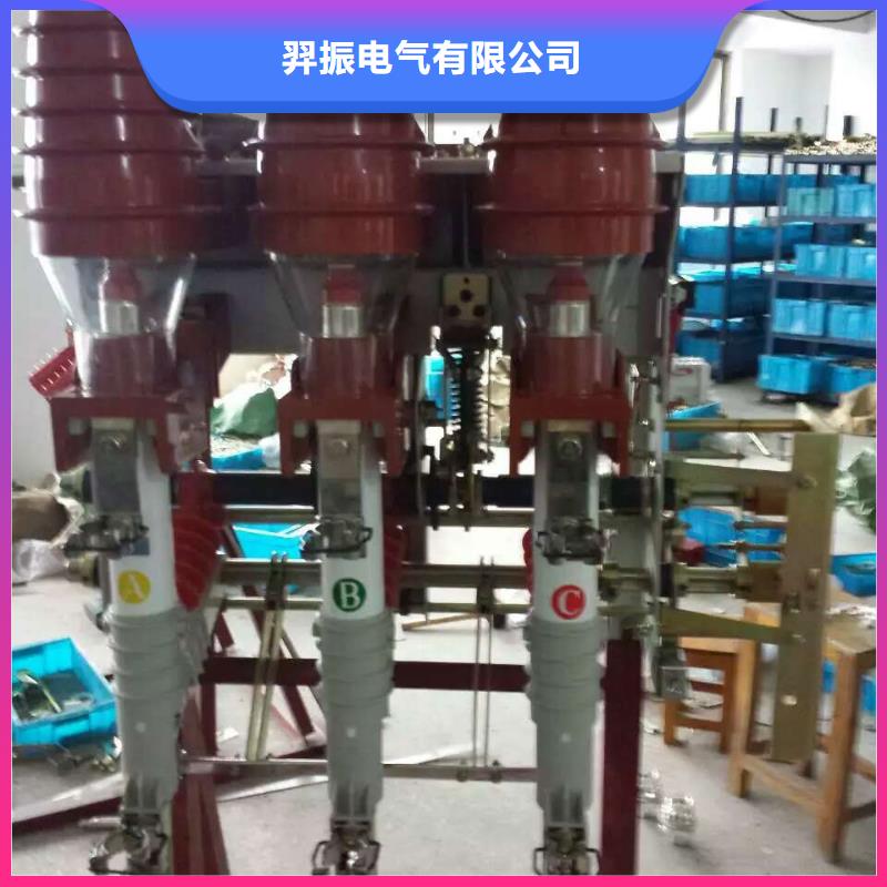 FZN25A-12高壓負荷開關_