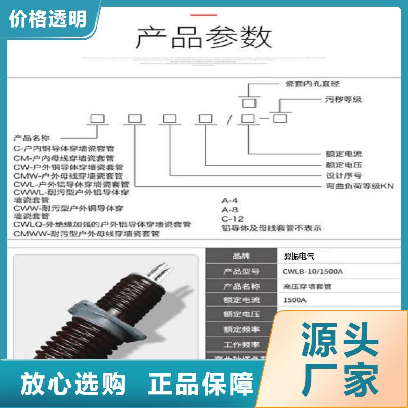 【羿振电力】交流穿墙套管,AC35KV,陶瓷,2000A,无CT,铜