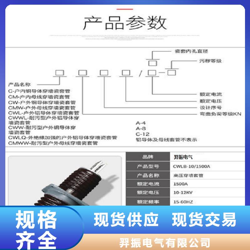 【穿墙套管】CWW-10/3150