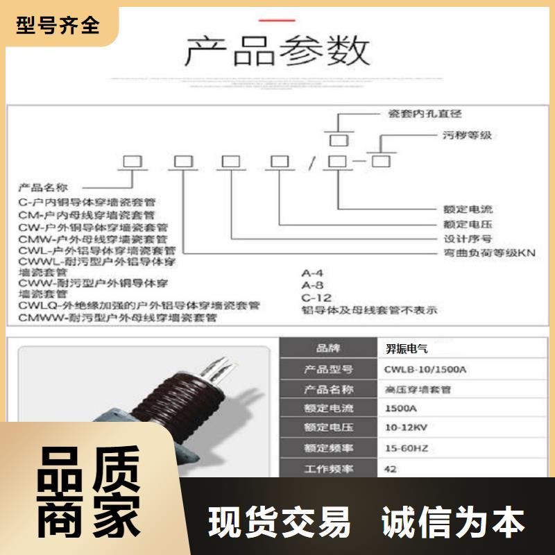 【羿振電力】交流穿墻套管,AC20KV,陶瓷,1250A,無CT,銅