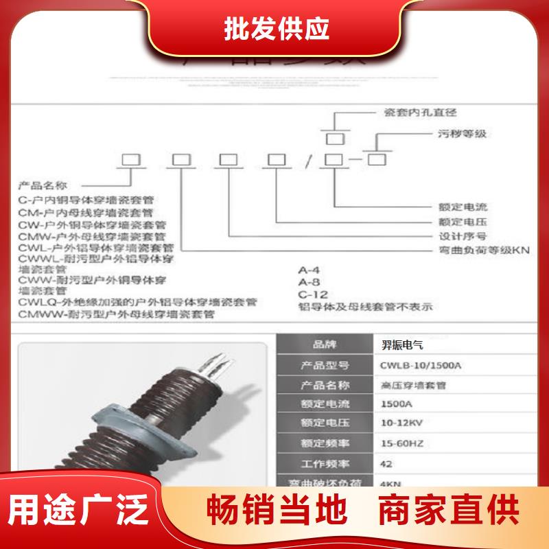 【穿墙套管】CWC-40.5/2500-4