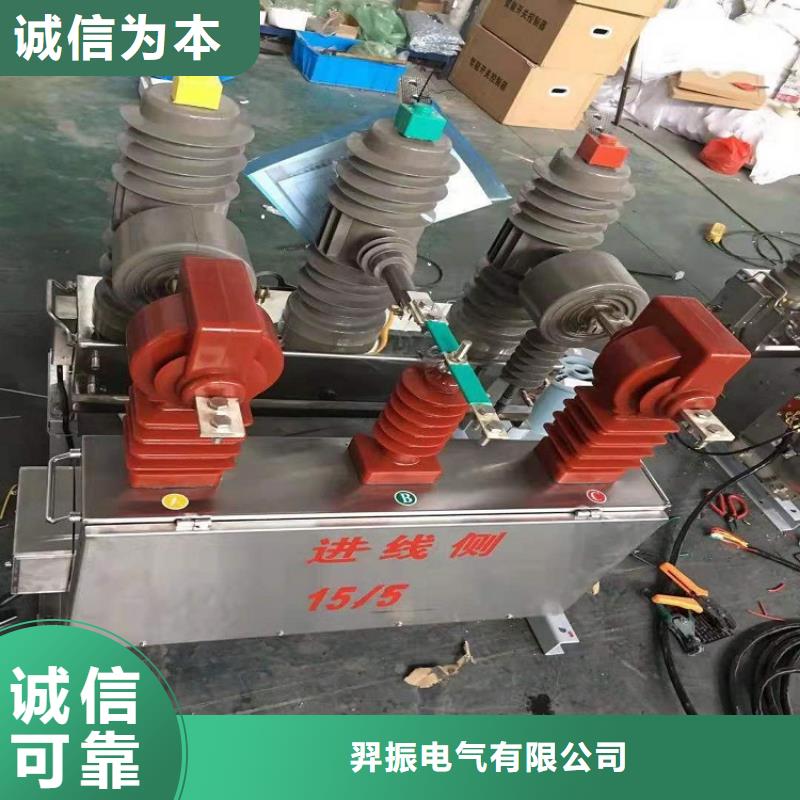 品牌【羿振電氣】高壓斷路器ZW32-12F/630-20