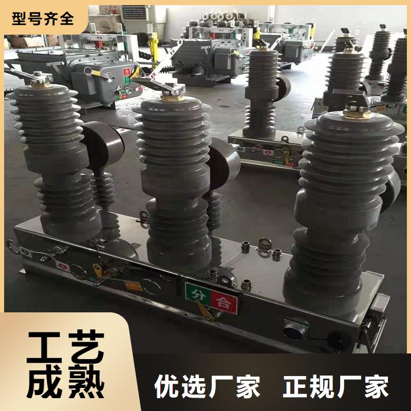 品牌【羿振電氣】永磁真空斷路器ZW32-12GM/630