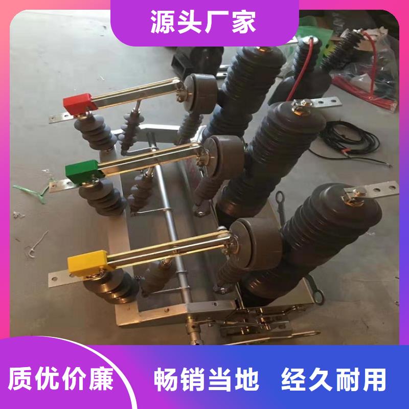 品牌【羿振電氣】柱上斷路器ZW32-12G/T630-25