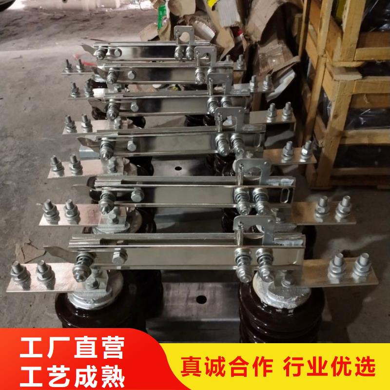 【单极隔离开关】HGW9-12KV/630A