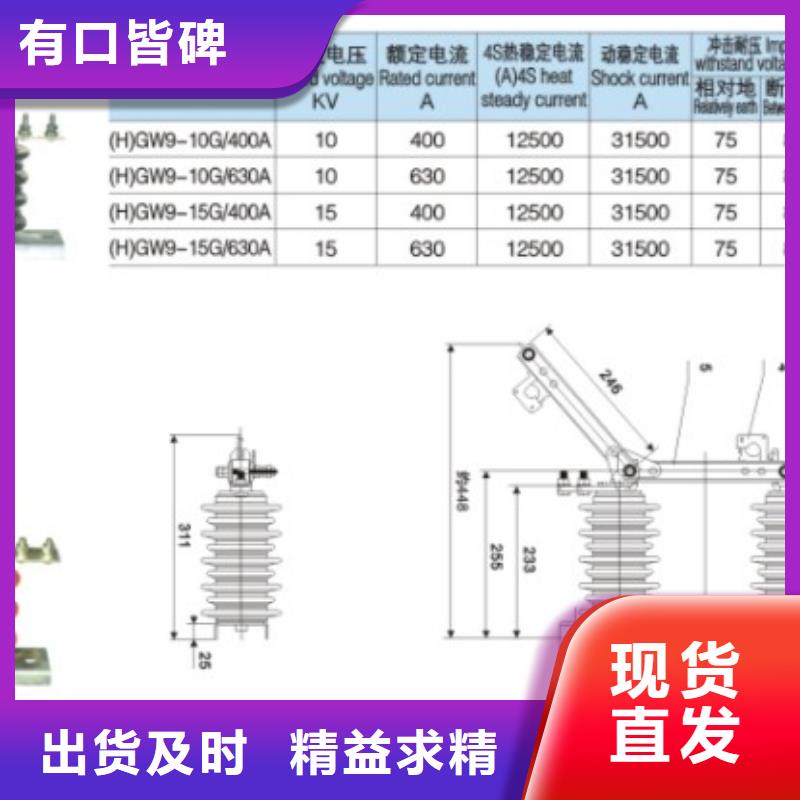 戶外高壓交流隔離開關：FGW9-10/630A廠家現貨