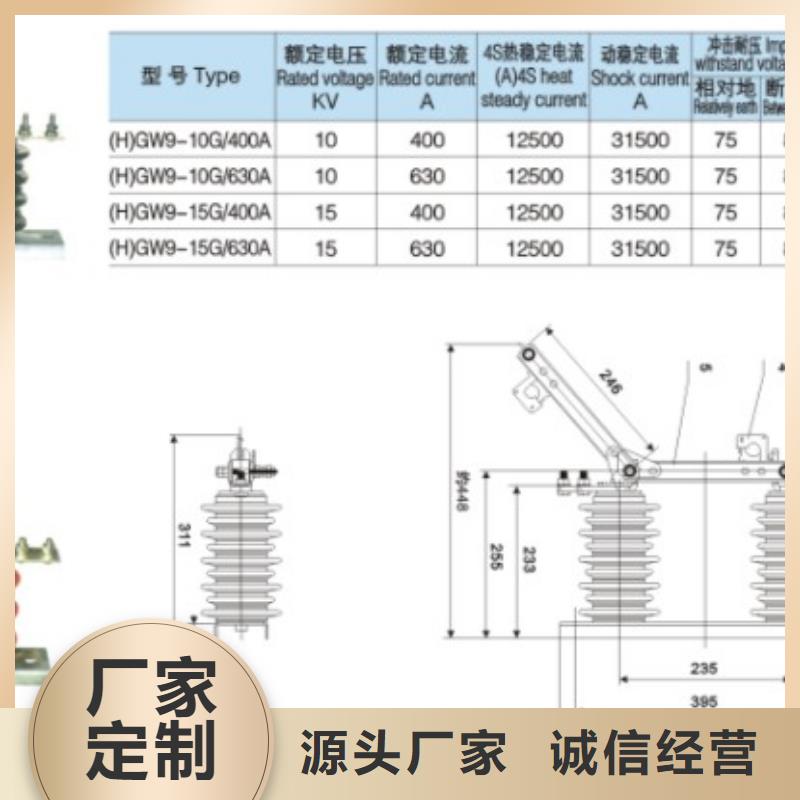 【戶外高壓隔離開關】HGW9-12KV/400