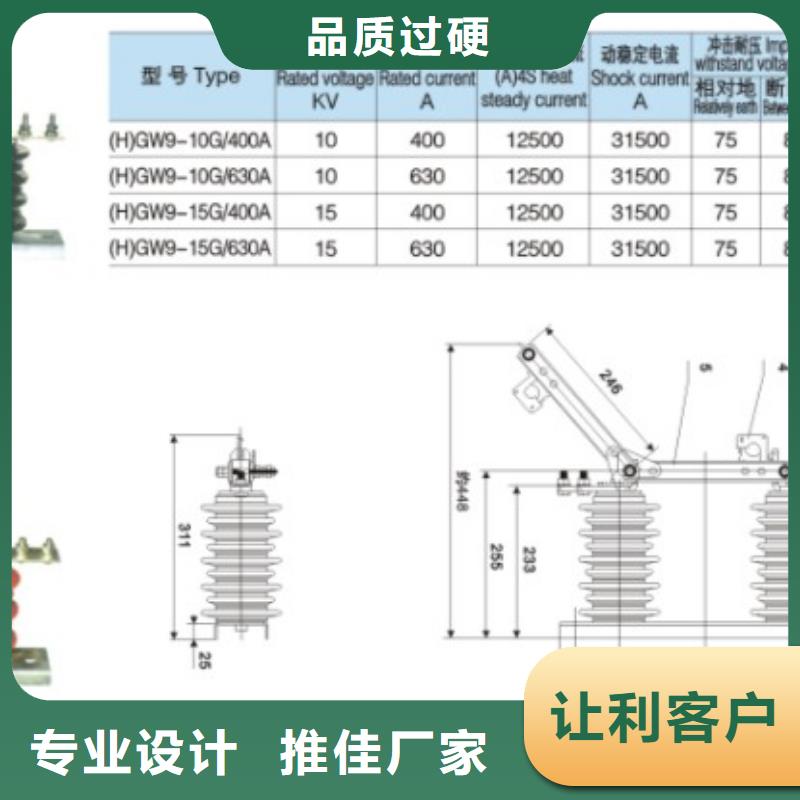 户外高压交流隔离开关：FGW9-12/200出厂价格