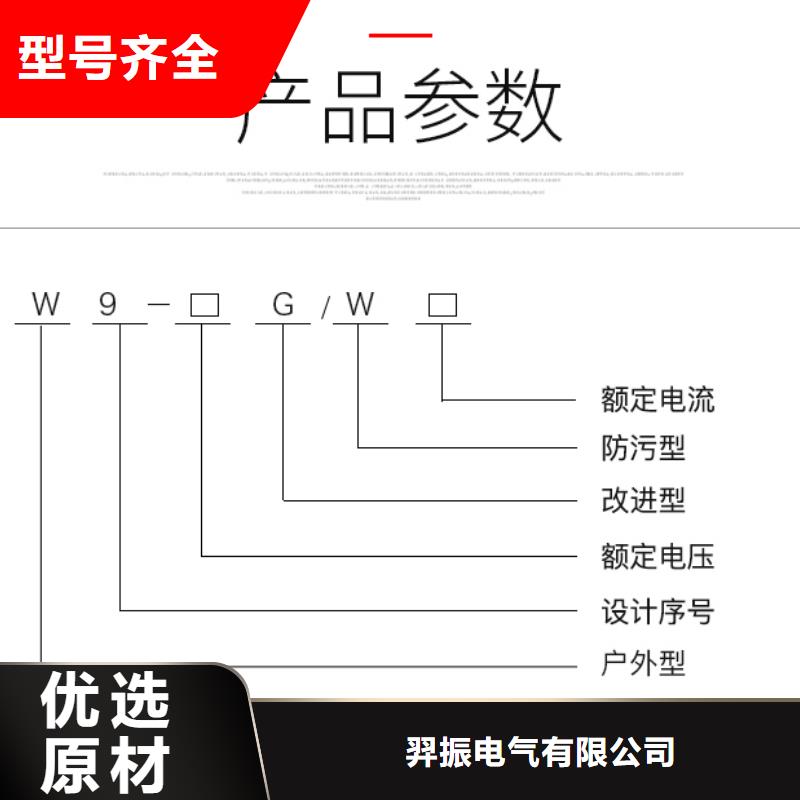 戶外【隔離開關】HGW9-12KV/1250A