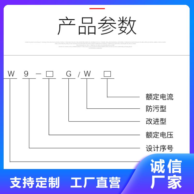 戶外【隔離開關】HGW9-12G/400