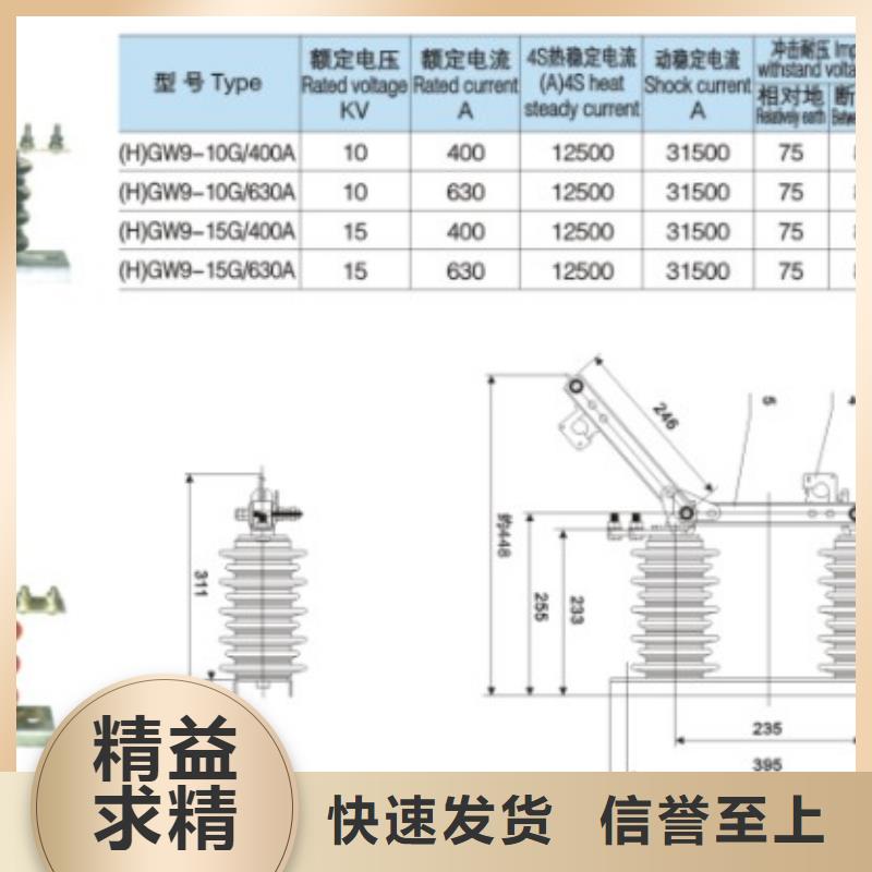 戶外高壓交流隔離開關:FGW9-10/630A廠家現貨