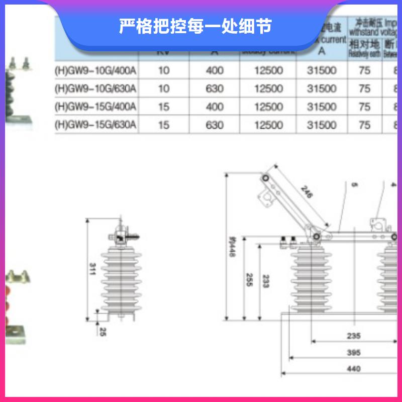 【户外隔离刀闸】HGW9-15G/630A