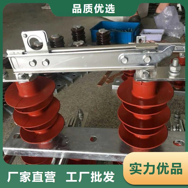 【单极隔离开关】HGW9-10KV/1250