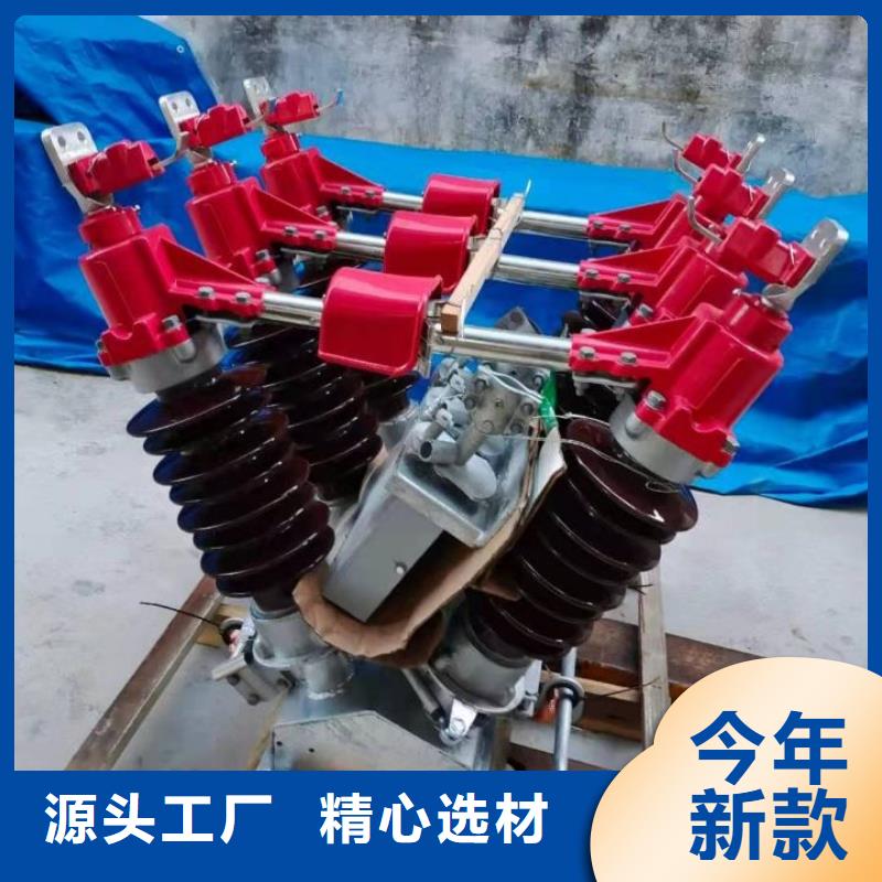 户外高压隔离开关HGW1-12KV/630