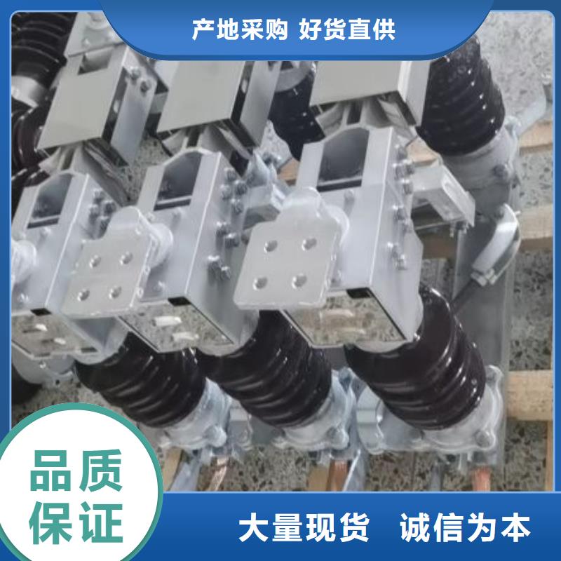 戶外高壓隔離開關HGW1-10KV/630
