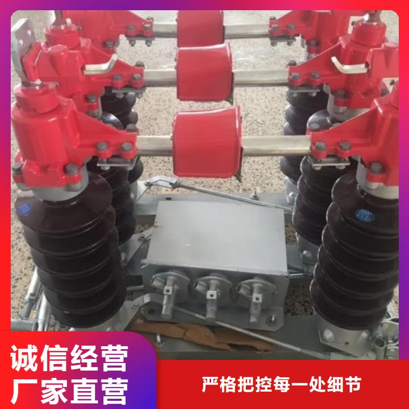 【隔離開關】GW5-35GD/1000A
