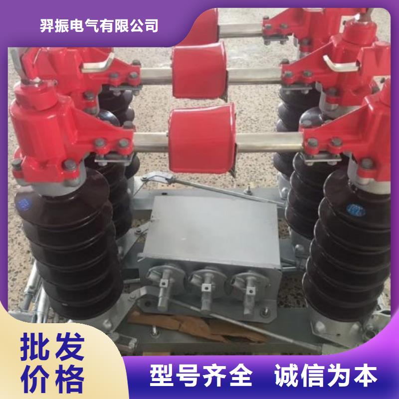 户外高压隔离开关HGW1-12KV/400A