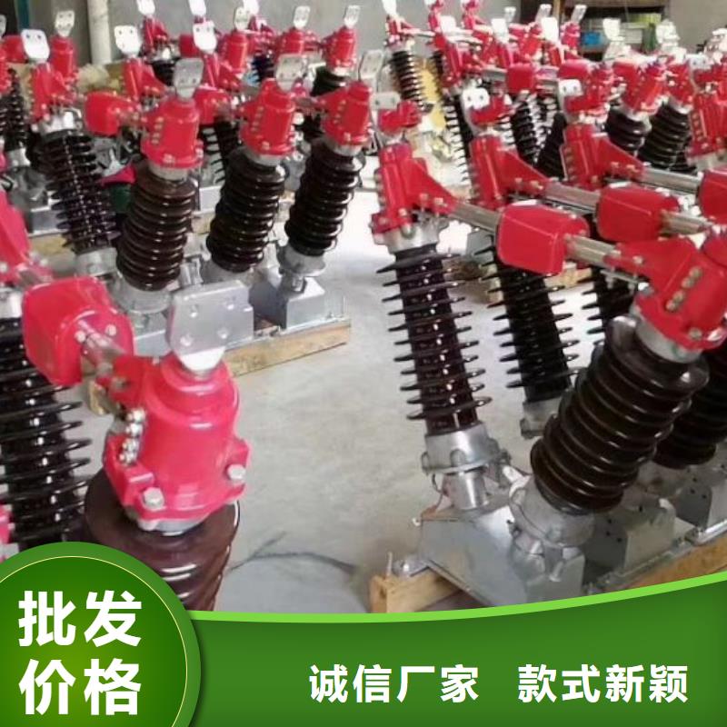 戶外高壓隔離開關(guān)HGW1-10KV/630