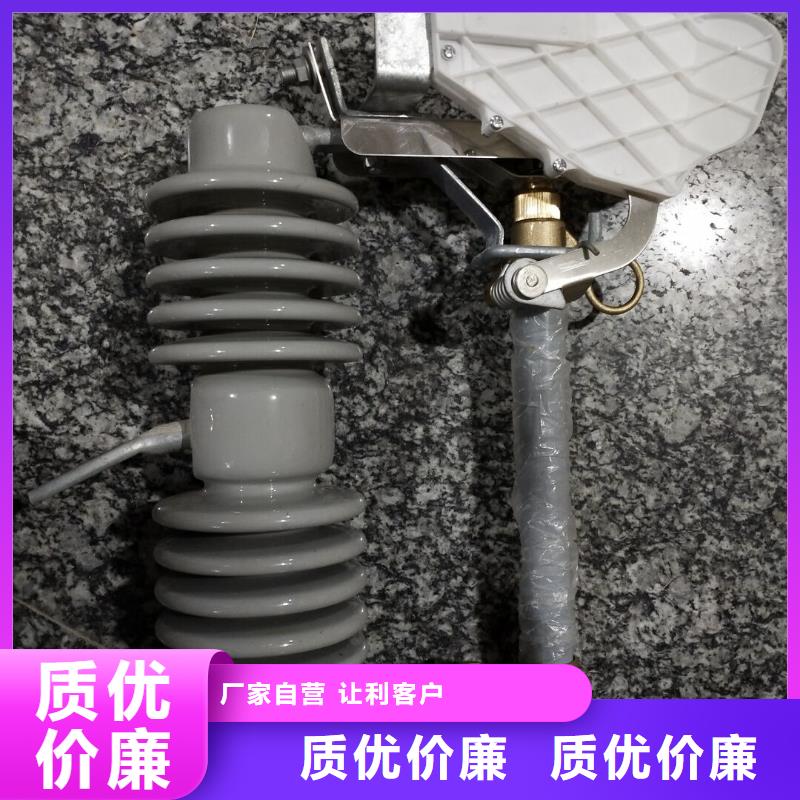 熔断器,三相组合式避雷器实力大厂家