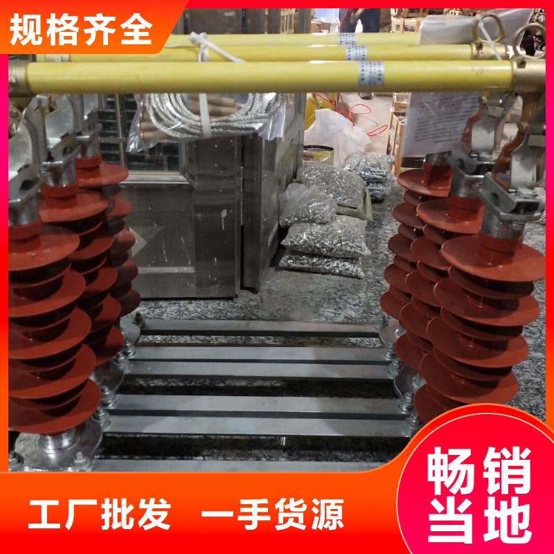 高压熔断器/HRW12-2424KV