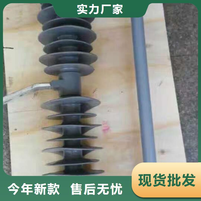 高压熔断器/RW33-10/200A