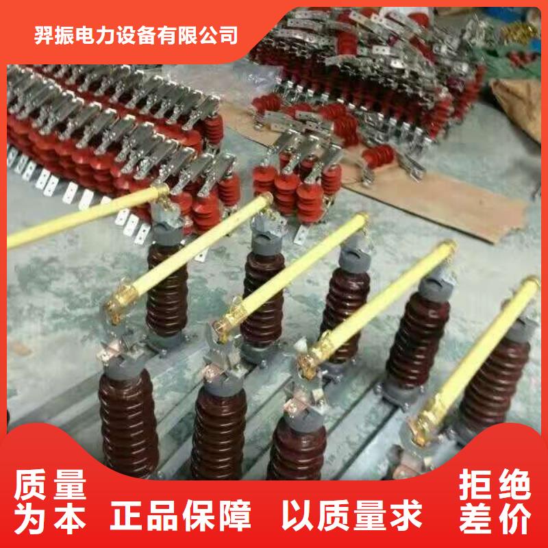 高压熔断器/HPRW12-12KV/100