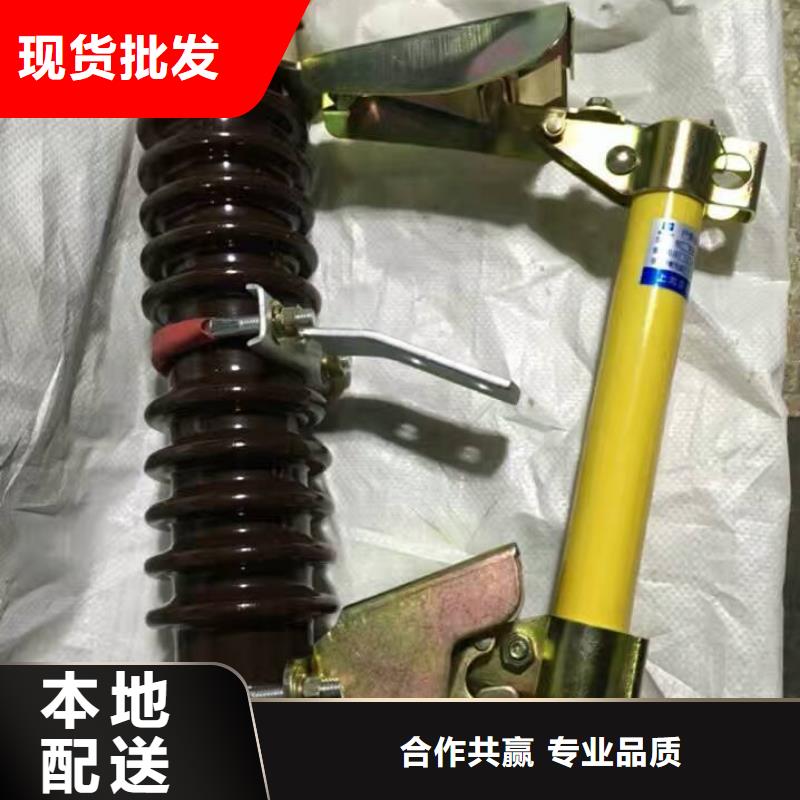 熔断器【绝缘子厂家】品质保证