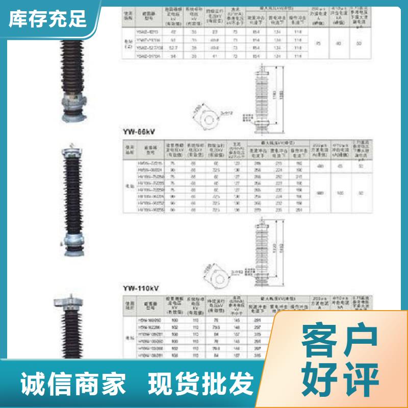 【羿振电力】避雷器Y5W5-108/281