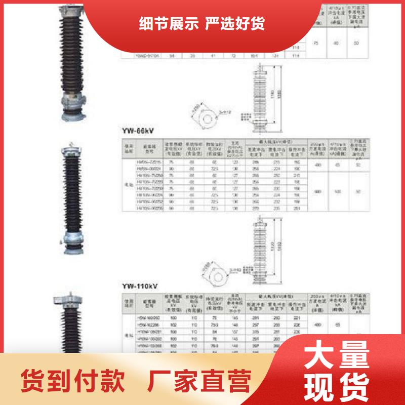 品牌：【羿振电力】避雷器Y10W-108/281