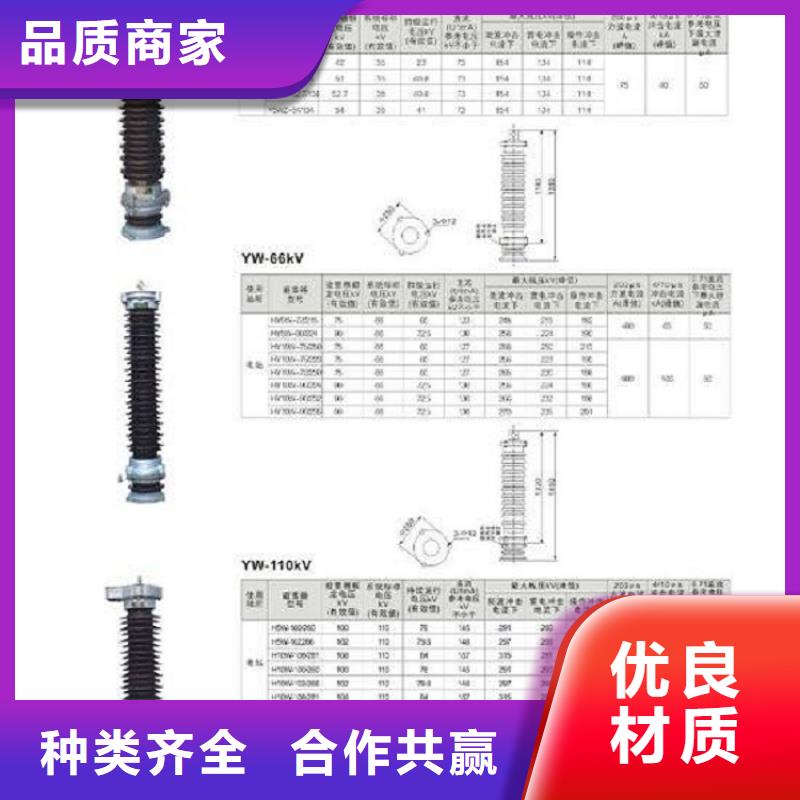 避雷器Y5WZ-51/134【羿振电气】