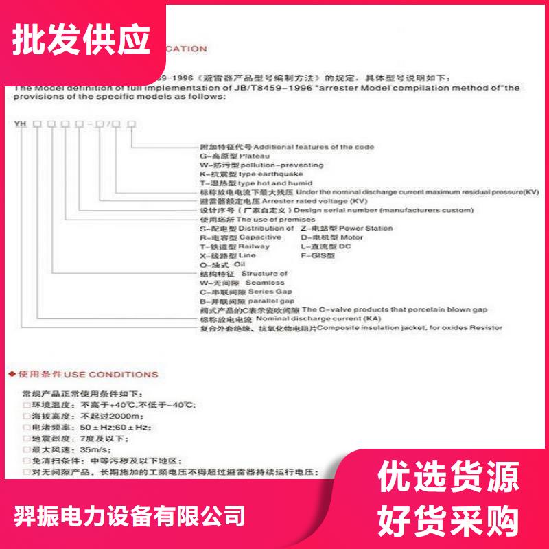 氧化鋅避雷器Y10W-100/260浙江羿振電氣有限公司
