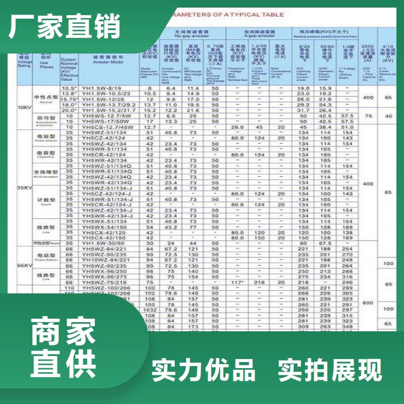 复合外套氧化锌避雷器YH10W-51/134G浙江羿振电气有限公司