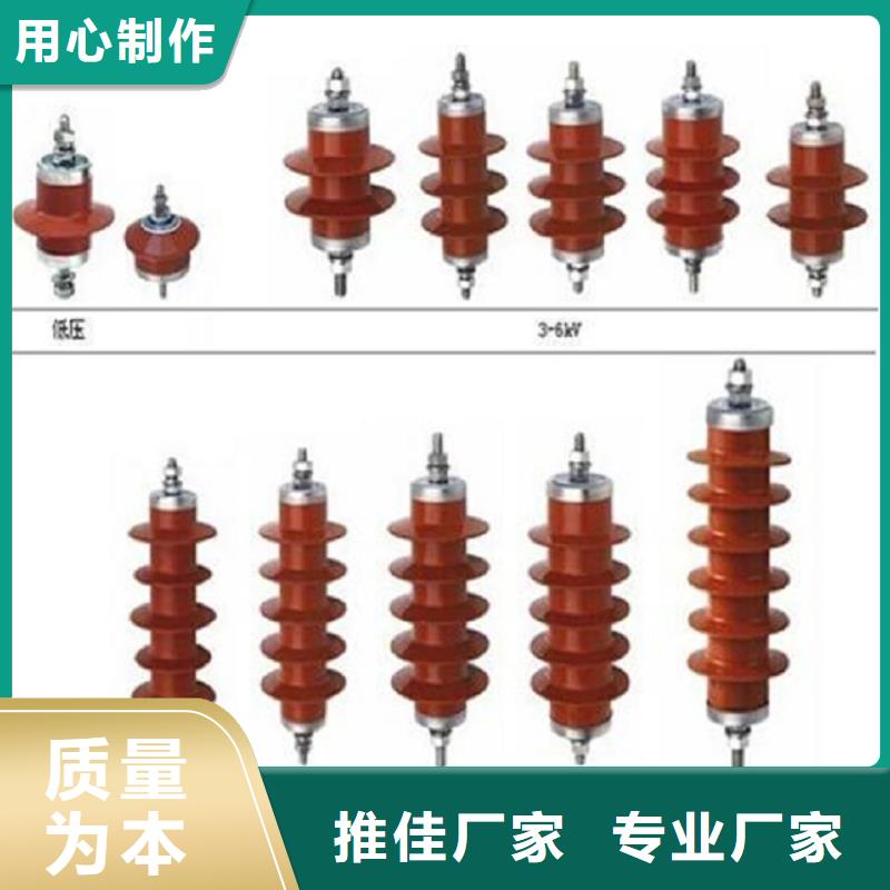 氧化锌避雷器Y10W-102/266浙江羿振电气有限公司