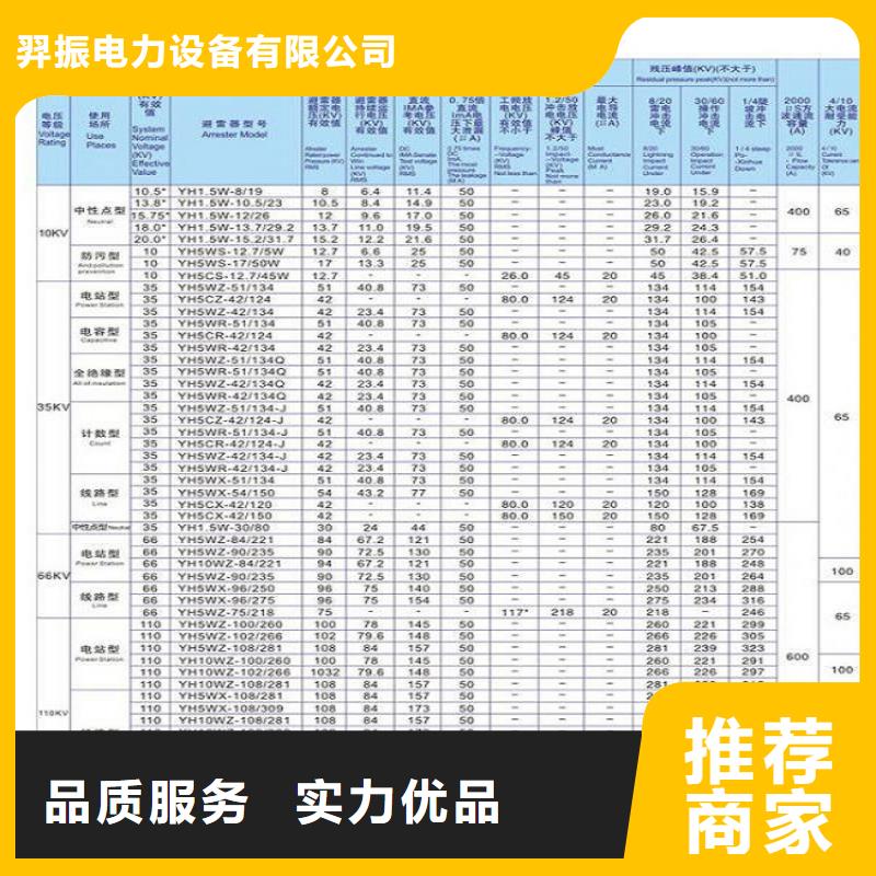 避雷器Y10W5-204/532W