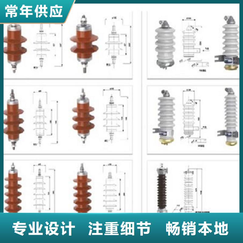 避雷器Y10W5-108/281W【浙江羿振电气有限公司】