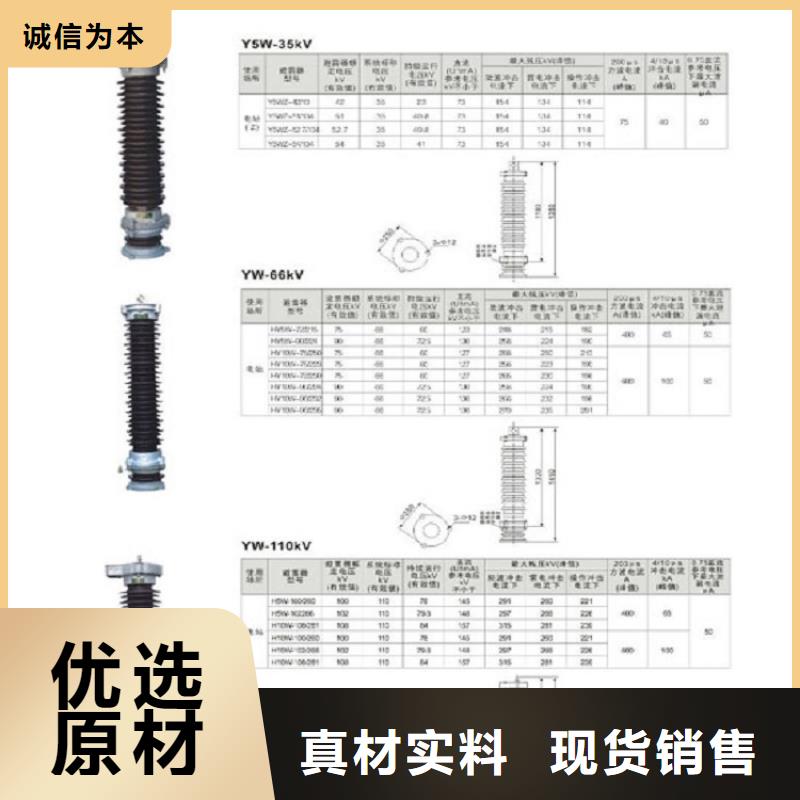 【避雷器】Y10W5-204/532