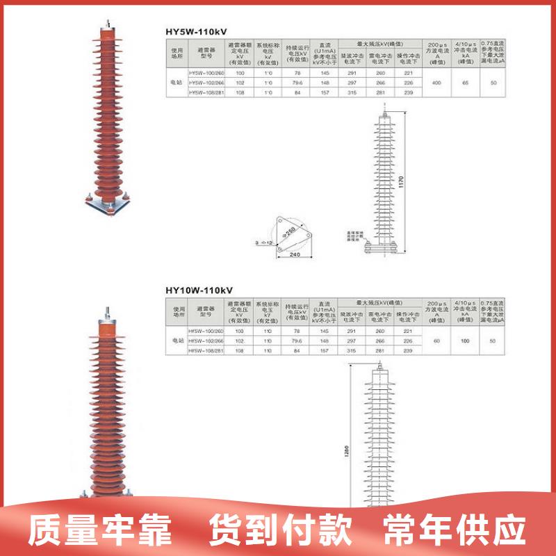 氧化鋅避雷器Y10W-100/260浙江羿振電氣有限公司