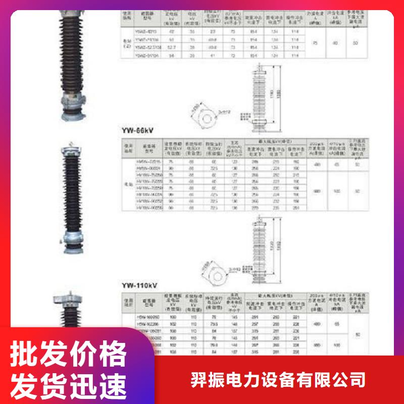 YH10WX-100/248TD