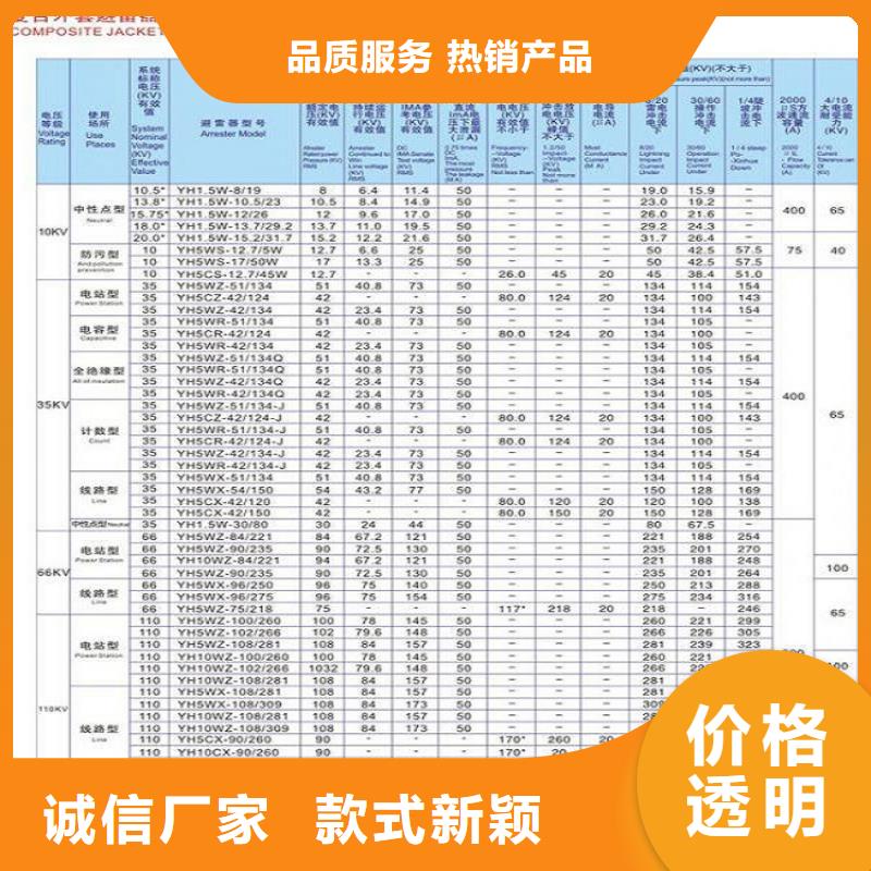 避雷器Y10W5-108/281W【浙江羿振电气有限公司】