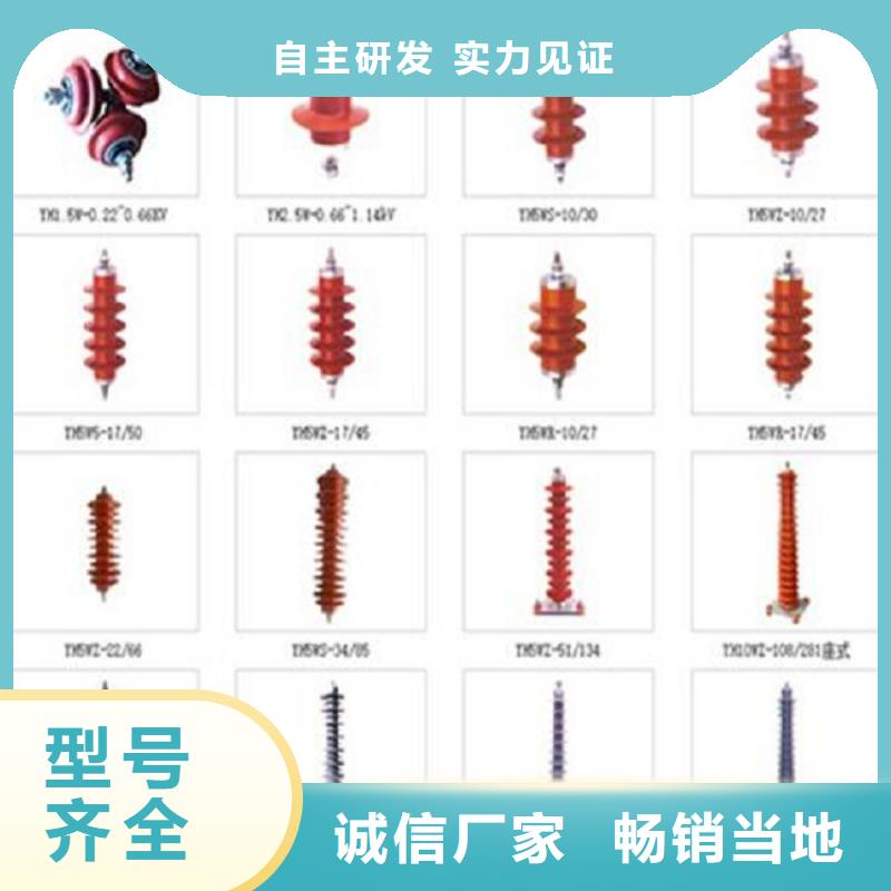 避雷器Y1.5W5-96/260W浙江羿振電氣有限公司