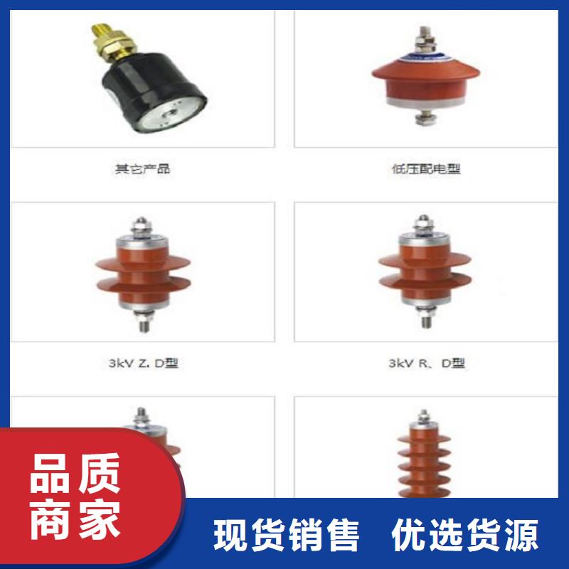 避雷器Y5WZ-10/27