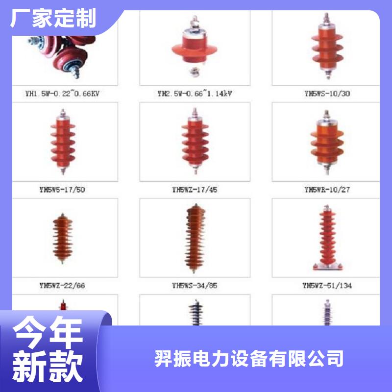 避雷器Y5W1-90/224W【浙江羿振電氣有限公司】